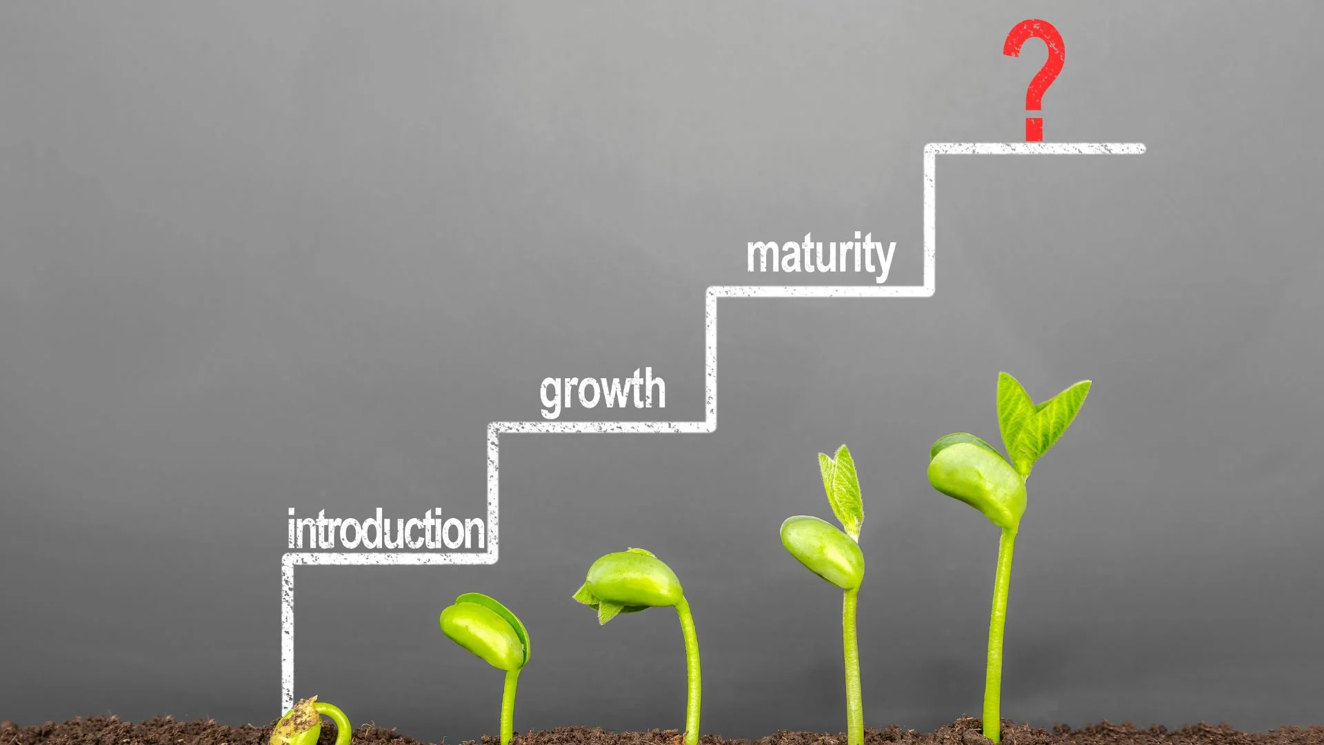 Visualization of the product life cycle stages